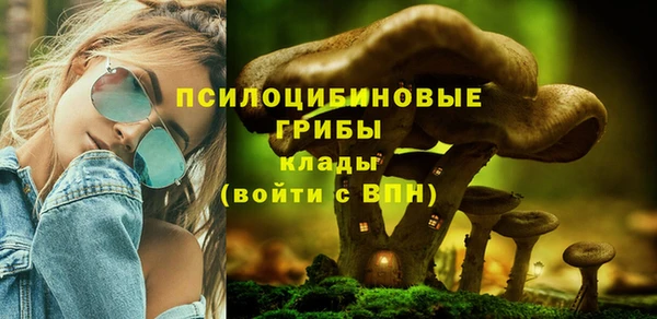 PSILOCYBIN Абаза